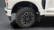 2025 Ford F-250SD Platinum Diesel