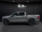 2025 Ford F-150 XLT Hybrid
