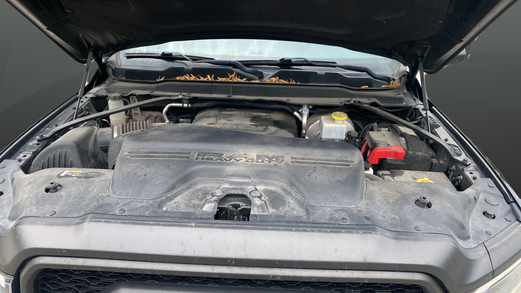 2021 RAM 2500 Power Wagon
